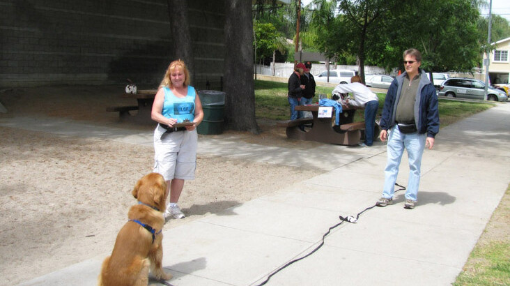 Intermediate Obedience – CGC