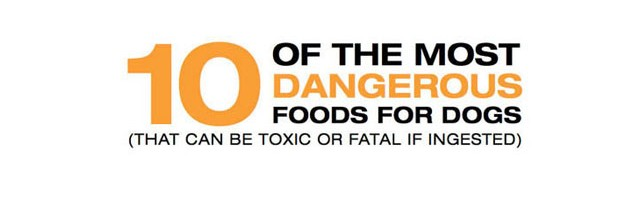 Foods known to be harmful to pets