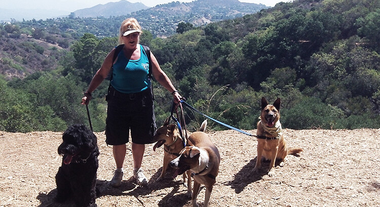 Advanced Obedience / Take It On The Road